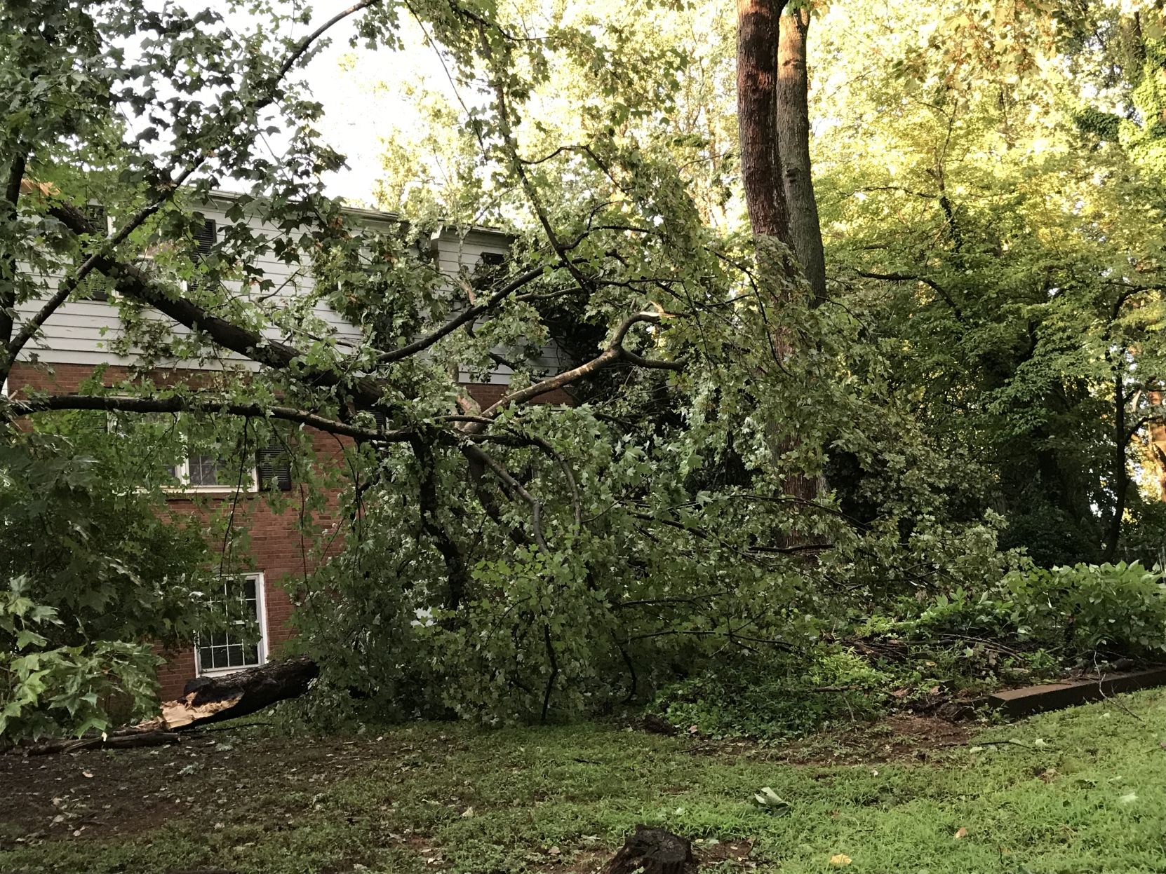 Storm (18).JPG